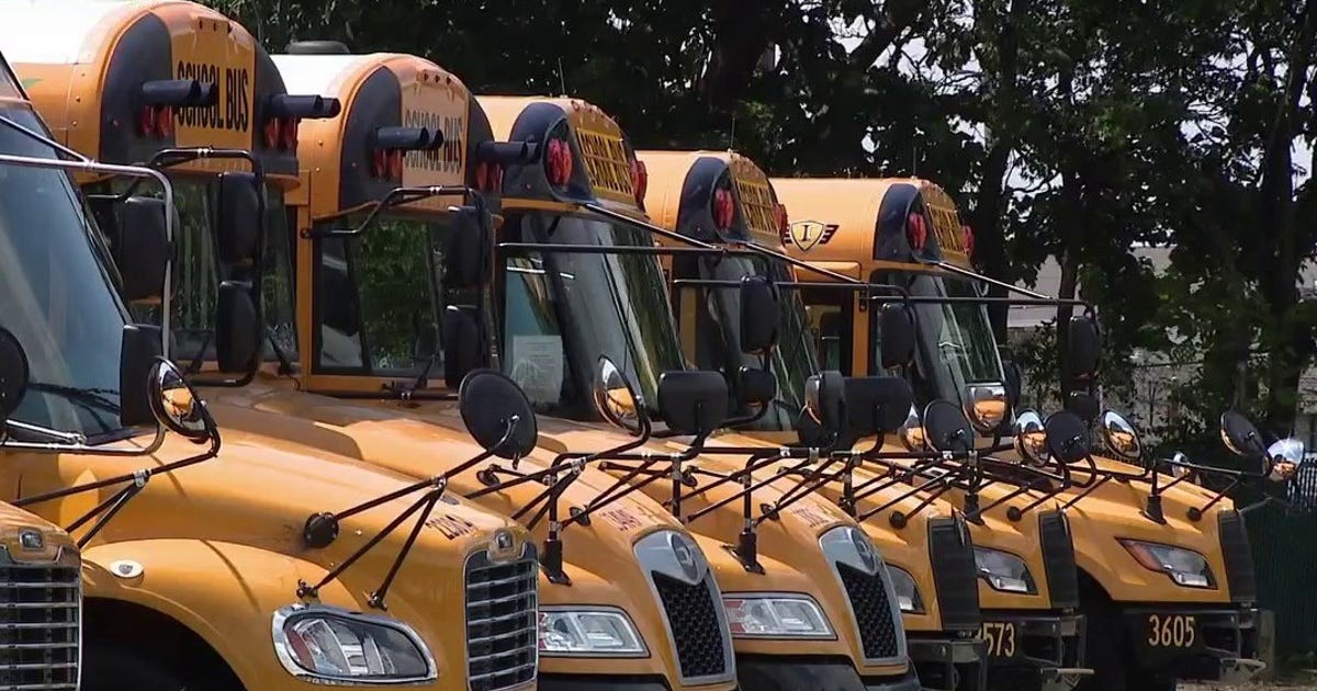 Several yellow school buses are parked in a row among trees. Several yellow school buses are parked in a row among trees.